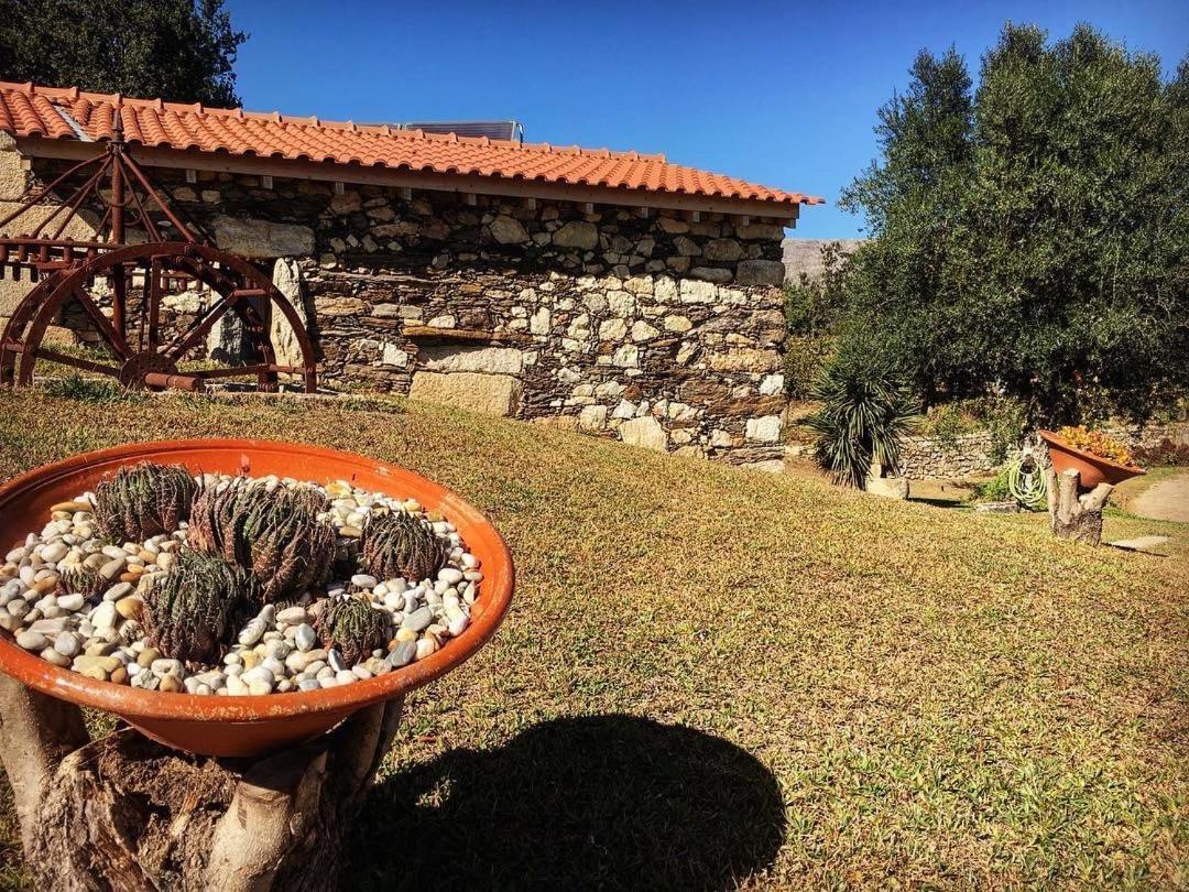 Quinta Do Fortunato Viana do Castelo Extérieur photo